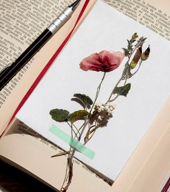 A flower rests on an open book beside a pen, creating a serene study scene.